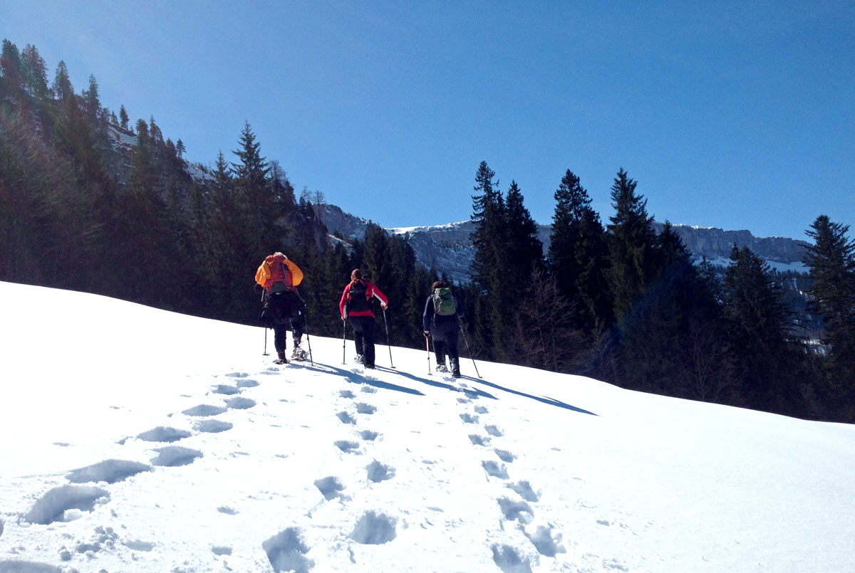 Schneeschuhewanderung